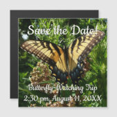 Frack Butterfly III Schönes farbiges Foto Magnetkarte (Vorne/Hinten)