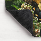 Frack Butterfly III Schönes farbiges Foto Mousepad (Ecke)