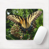 Frack Butterfly III Schönes farbiges Foto Mousepad (Mit Mouse)