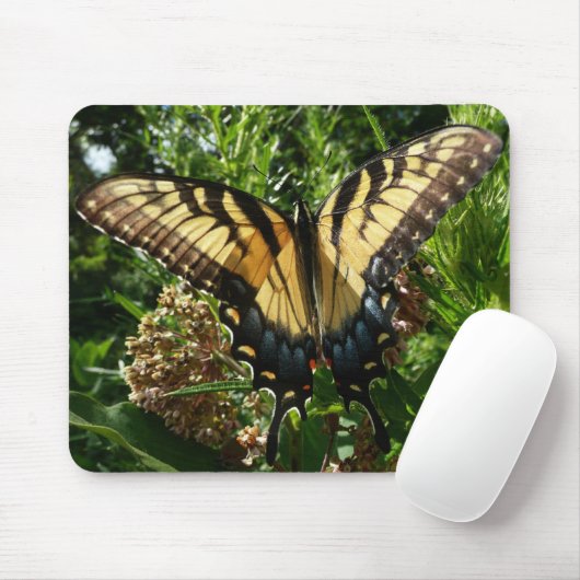 Frack Butterfly III Schönes farbiges Foto Mousepad (Mit Mouse)