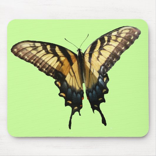 Frack Butterfly III Schönes farbiges Foto Mousepad (Vorne)