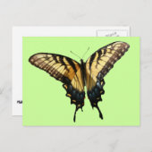 Frack Butterfly III Schönes farbiges Foto Postkarte (Vorne/Hinten)
