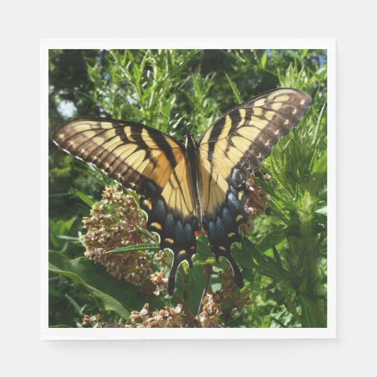 Frack Butterfly III Schönes farbiges Foto Serviette (Vorderseite)