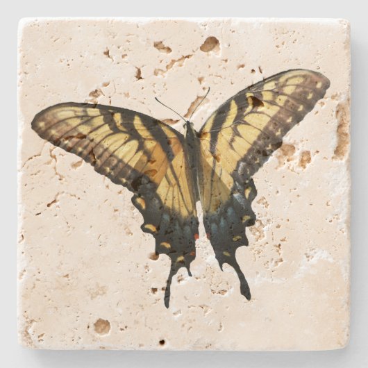 Frack Butterfly III Schönes farbiges Foto Steinuntersetzer (Vorderseite)