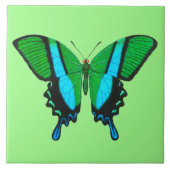 Frack Butterfly in Grün, Türkis und Schwarz Fliese (Vorderseite)