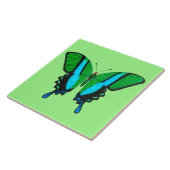 Frack Butterfly in Grün, Türkis und Schwarz Fliese (Seite)