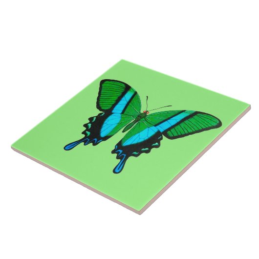 Frack Butterfly in Grün, Türkis und Schwarz Fliese (Seite)