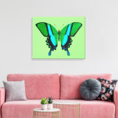 Frack Butterfly in Grün, Türkis und Schwarz Leinwanddruck (Insitu (Wohnzimmer))