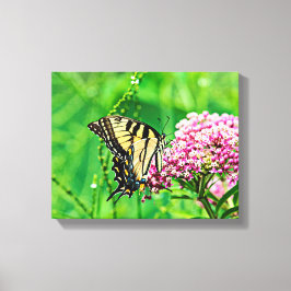 Frack Butterfly Leinwanddruck