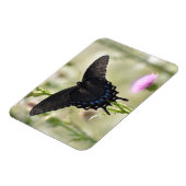 Frack Butterfly Magnet (Linke Seite)