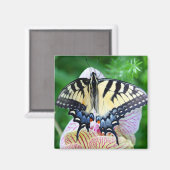 Frack Butterfly Magnet (Vorderseite/Rückseite)