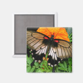 Frack Butterfly Magnet (Vorderseite/Rückseite)