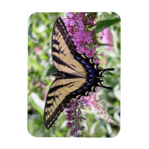 Frack Butterfly Magnet
