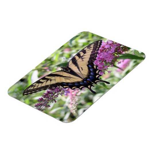 Frack Butterfly Magnet (Linke Seite)