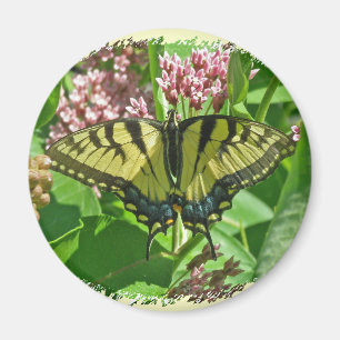 Frack Butterfly Magnet für Weibliche Osternährung