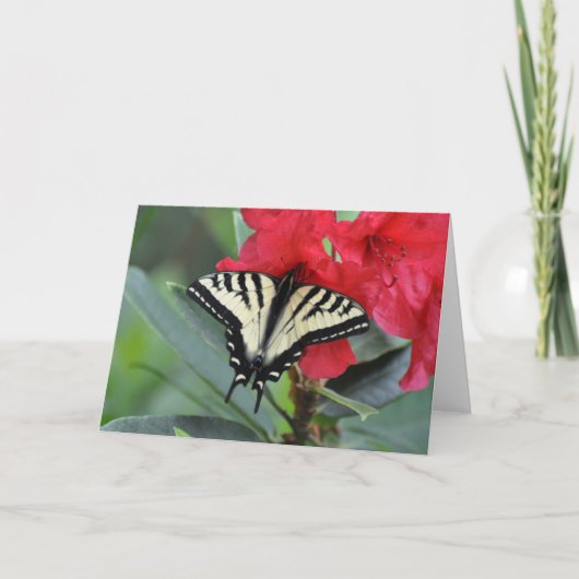 Frack Butterfly mit Wings Open Karte (Vorderseite)