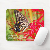 Frack Butterfly Mousepad (Mit Mouse)