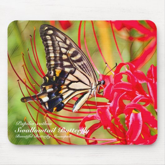 Frack Butterfly Mousepad (Vorne)