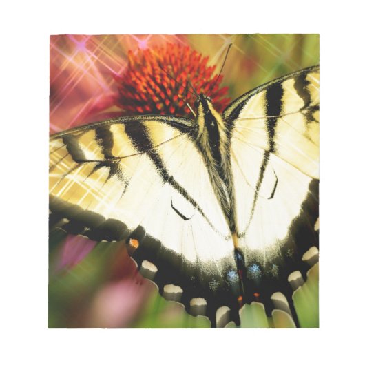 Frack Butterfly Notizblock (Vorderseite)