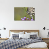 Frack Butterfly on Blume, Chiba Leinwanddruck (Insitu (Schlafzimmer))