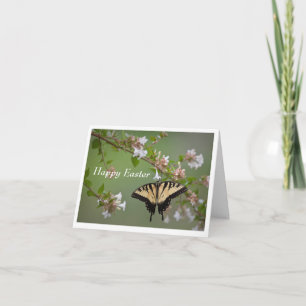 Frack Butterfly Ostergrusskarte Karte
