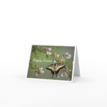 Frack Butterfly Ostergrusskarte