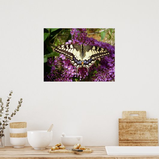 Frack Butterfly Poster (Küche)