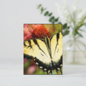 Frack Butterfly Postkarte (Stehend Vorderseite)