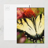 Frack Butterfly Postkarte (Vorne/Hinten)