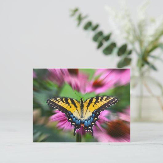 Frack Butterfly Postkarte (Stehend Vorderseite)