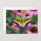 Frack Butterfly Postkarte (Vorne/Hinten)