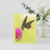 Frack Butterfly Postkarte (Stehend Vorderseite)