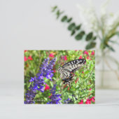 Frack Butterfly [Postkarte] Postkarte (Stehend Vorderseite)