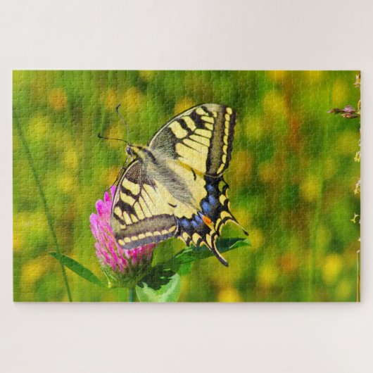 Frack Butterfly. Puzzle (Horizontal)