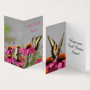 Frack Butterfly, rosa Blume