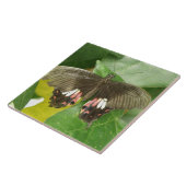 Frack Butterfly Scarlet Fliese (Seite)