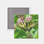 Frack Butterfly Series of Eastern Tiger Magnet (Vorderseite/Rückseite)