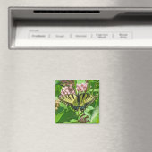 Frack Butterfly Series of Eastern Tiger Magnet (In Situ (Geschirrspüler))