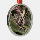 Frack Butterfly Silbernes Ornament (Rechts)