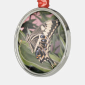 Frack Butterfly Silbernes Ornament (Links)