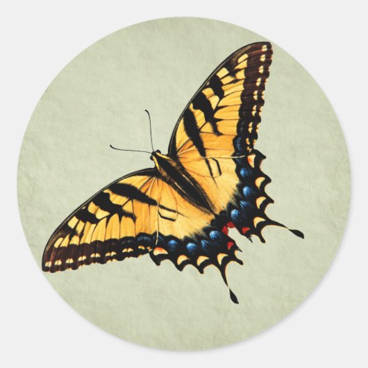 Frack Butterfly Sticker (Vorderseite)