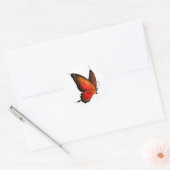 Frack Butterfly Sticker (Umschlag)