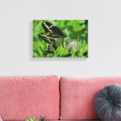 Frack Butterfly Stretched Canvas Print Leinwanddruck (Insitu (Wohnzimmer))