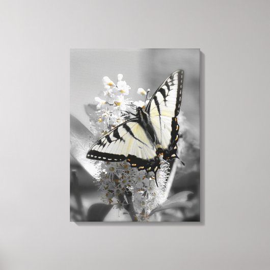 Frack Butterfly Stretched Canvas Print Leinwanddruck (Vorderseite)