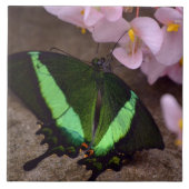 Frack Butterfly Tile Fliese (Vorderseite)