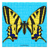 FRACK - FOTO (Vorne)