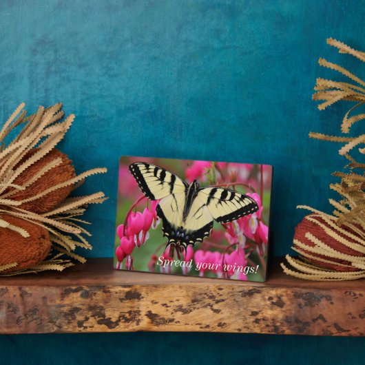 Frack Fotoplatte (Seite)