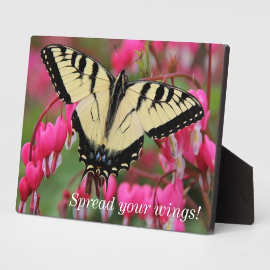 Frack Fotoplatte (Seite)