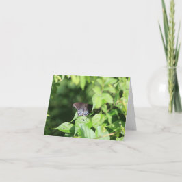 Frack-Merkkarte ausblenden Dankeskarte