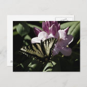 Frack & Rhododendron Postkarte (Vorne/Hinten)